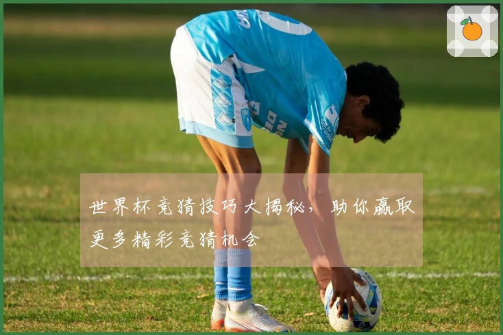 世界杯竞猜技巧大揭秘，助你赢取更多精彩竞猜机会