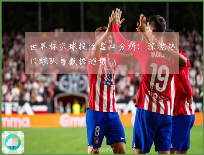 世界杯买球投注盘口分析：深挖热门球队与数据趋势