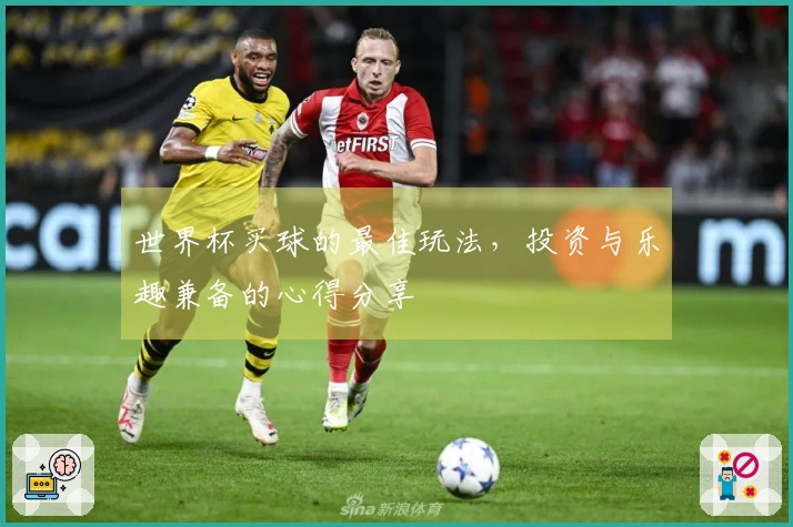 世界杯买球的最佳玩法，投资与乐趣兼备的心得分享