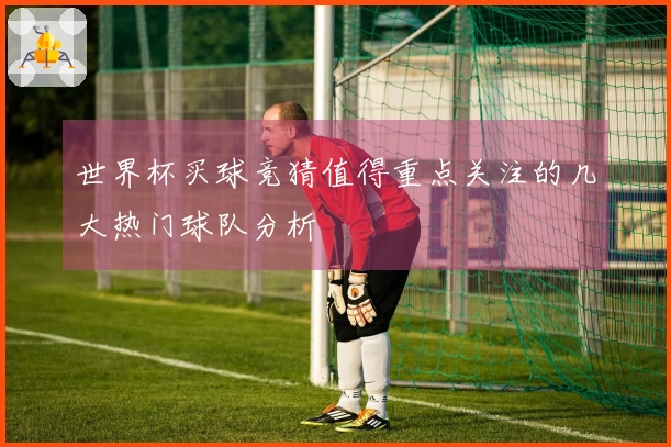 世界杯买球竞猜值得重点关注的几大热门球队分析
