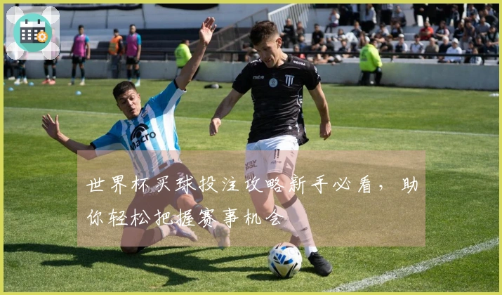 世界杯买球投注攻略新手必看，助你轻松把握赛事机会