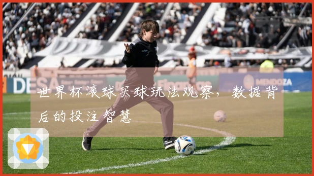 世界杯滚球买球玩法观察，数据背后的投注智慧