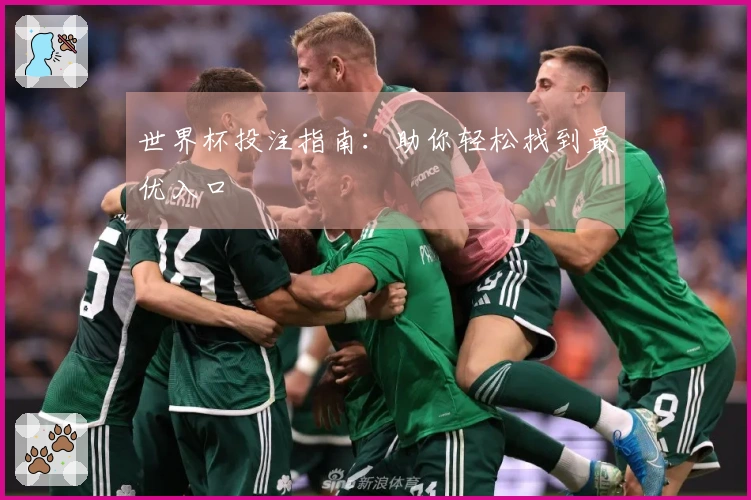 世界杯投注指南：助你轻松找到最优入口