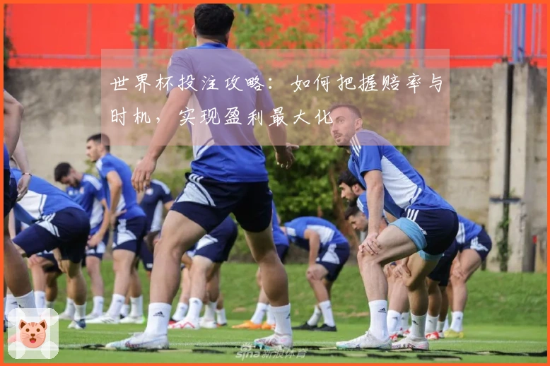 世界杯投注攻略：如何把握赔率与时机，实现盈利最大化
