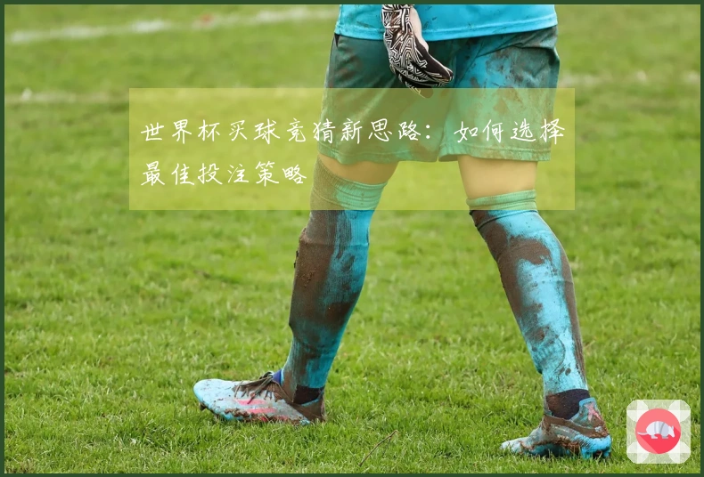 世界杯买球竞猜新思路：如何选择最佳投注策略