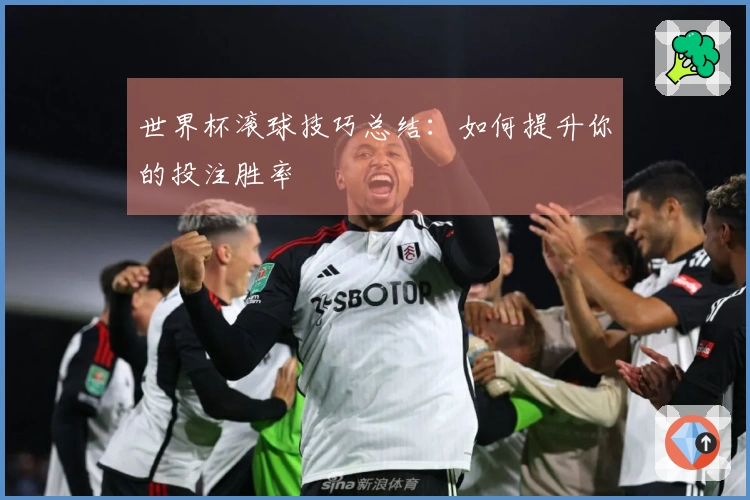 世界杯滚球技巧总结：如何提升你的投注胜率