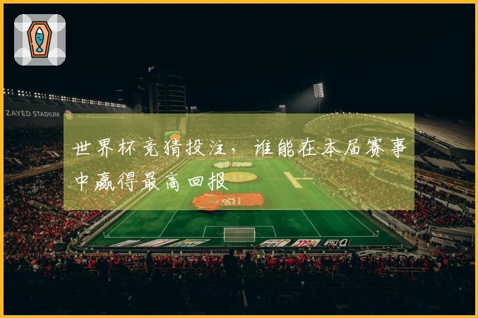 世界杯竞猜投注，谁能在本届赛事中赢得最高回报