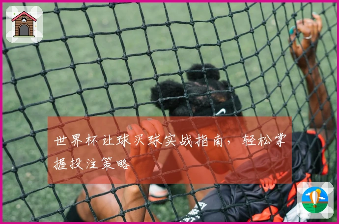 世界杯让球买球实战指南，轻松掌握投注策略