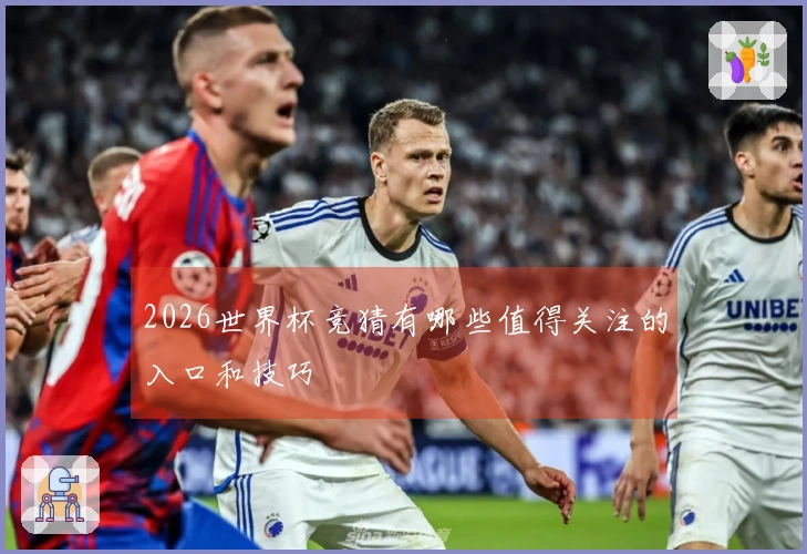 2026世界杯竞猜有哪些值得关注的入口和技巧