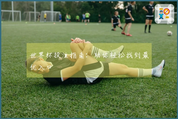 世界杯投注指南：助你轻松找到最优入口