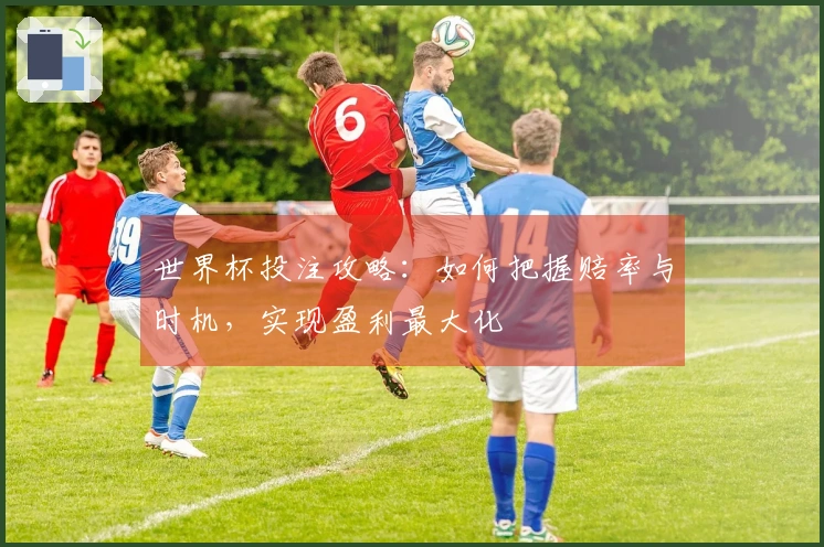 世界杯投注攻略：如何把握赔率与时机，实现盈利最大化