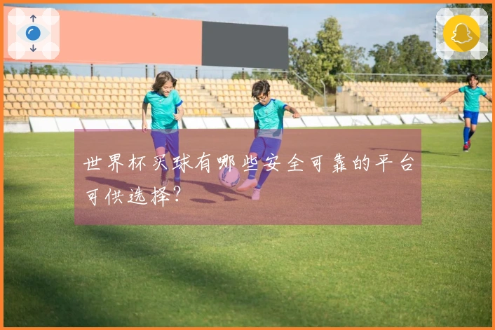 世界杯买球有哪些安全可靠的平台可供选择？