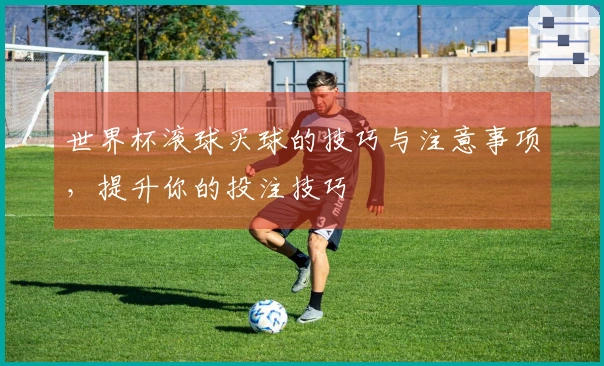 世界杯滚球买球的技巧与注意事项，提升你的投注技巧